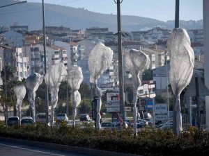 Kuşadası’nda ağaçlara özel koruma