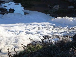 Türkiye’nin tersine akan tek akarsuyu olan ’Tersakan Çayı’ kirlilikten köpürdü