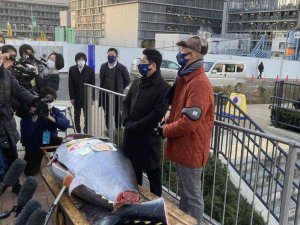 Tokyo’daki yeni yıl mezatında 211 kiloluk orkinos 1.9 milyon liraya satıldı