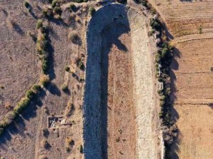 Elon Musk’ın Afrodisias beğenisi heyecanlandırdı