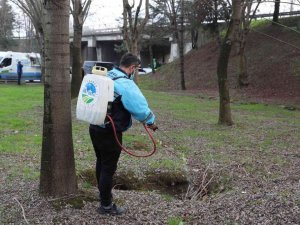 Şehir genelinde ilaçlama, mıntıka ve çevre temizliği sürüyor