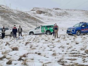 Bitlis’te sokak ve yaban hayvanlar için doğaya yem bırakıldı