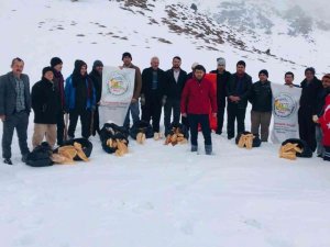 Berit Dağı’nda yaban hayvanlarına yem