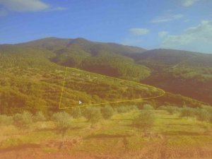 Salihli Belediyesi GES kuruyor