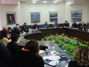 Arı ölümlerine çözüm arayışı