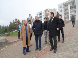 Eyyübiye Belediyesi’nden 18 dönümlük yeni bir park