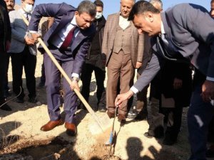 Aydın inciri Hasankeyf’te yemiş verecek