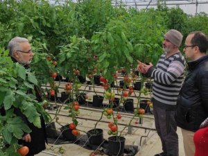 Jeotermal kaynaklı seralarda dönem kontrolleri