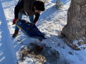 Kar yağışı sonrası yaban hayatı için doğaya yem bırakıldı