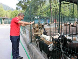 Marmaris Belediyesi, tüm dostlar için seferber oldu