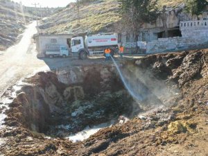 Şanlıurfa’da vektör ile mücadele sıkı tutuluyor