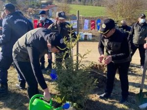 Bolu’da bin fidan toprakla buluşturuldu