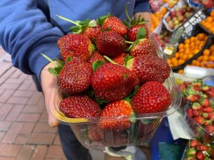 Çilek tezgahlarda yerini aldı, en çok ilgi gösteren pastahaneler oldu