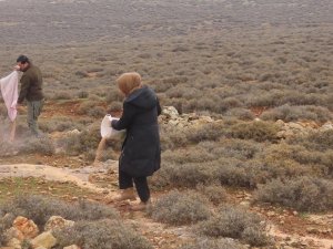 Yaban hayvanları için doğaya yem bıraktılar