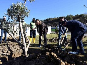 Bitkilendirme çalışmaları başladı