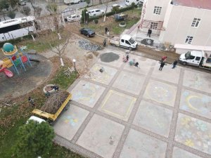 Efeler, üçüncü kreş için hazırlıklara başladı