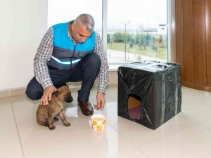 Donmak üzere olan yavru köpeği MASKİ personelleri kurtardı