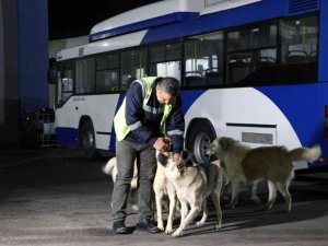 Ankara’da köpekle eğlenceli dakikalar geçiren EGO şoförü konuştu: