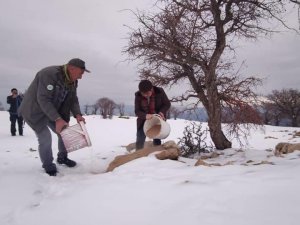 Çemişgezek’te yaban hayvanları için doğaya yem bırakıldı