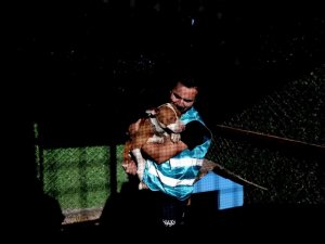 Sokağa bırakılan pitbullar ile dost oldu...Onların sokağa terk edilmesini istemiyor