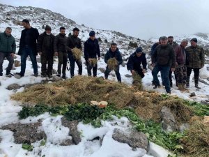 Karla kaplı dağlara yaban hayvanları için yem bıraktılar