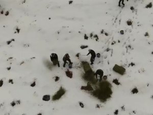 Karlı kaplı dağlara yabani hayvanlar için yem bırakıldı