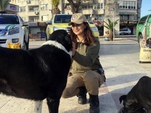 Balıkesir Körfez ilçelerinde Çevre Doğa ve Hayvanları Koruma Amirliği ekipleri  7/24 görev başında