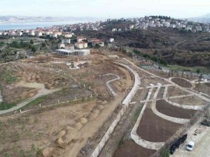 Enkaz döküm sahası yaşam alanına dönüşecek