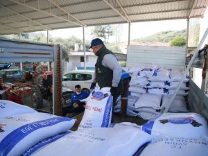 Aydın Büyükşehir Belediyesi’nden üreticiye yem desteği