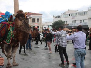 Develeri gören telefona sarıldı