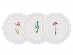 Farklı Tabak Tasarımlarına Göz Atın