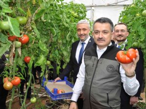 Bakan Pakdemirli: "Seracılık hızlı bir şekilde büyüyor"