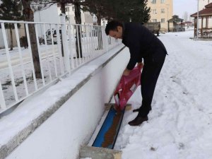 Kaymakam sokak hayvanlarını unutmadı