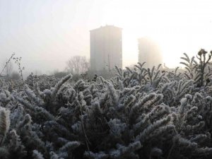 Sivas sisli bir sabaha uyandı, ortaya kartpostallık manzaralar çıktı