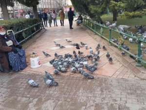 70 yaşındaki engelli kadın hem para kazanıyor hem kuşları besliyor