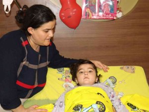 Azeri kızı Aytaç’ın Nahçivan-Trabzon-Malatya hattındaki yaşam mücadelesi