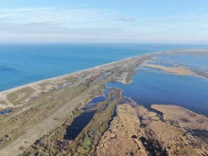 Karacabey longoz ormanları suyla buluşmaya başladı