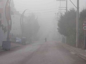 Kocaeli güne sisle başladı