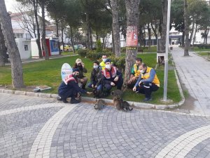 Sokak hayvanları yalnız değil