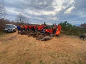 Ekinlere zarar veren 33 domuz bir günde vuruldu