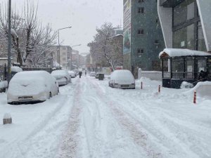 Muş’ta 261 köy yolu ulaşıma kapandı