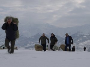 Bingöl’de yaban hayvanları için karla kaplı dağlara yem bırakıldı