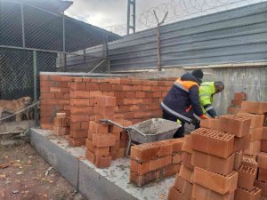 Pursaklar Hayvan Barınağı’nda iyileştirme ve kapasite artırım çalışmaları