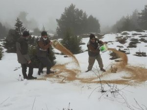 Yaban hayat için 600 kilogram yem bırakıldı