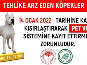 Tehlikeli köpekler kısırlaştırılarak PETVET sistemine kayıt edilecek