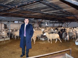 TÜDKİYEB Genel Başkanı Çelik: ”TMO’nun arpaya yaptığı zammı geri çekmesi, yetiştiricimiz açısından sevindirici olmuştur"