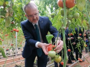 Tarıma Dayalı İhtisas OSB, Kütahya’nın vizyon projesi olacak