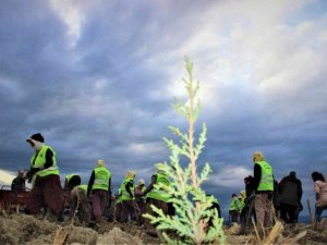 Kuruyan Marmara Gölüne hayat verecek proje başladı