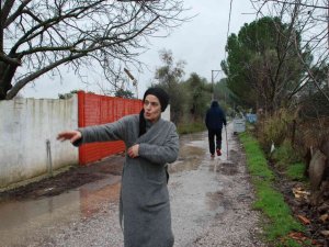 Menderes’te başıboş köpekler, mahallelinin kabusu oldu