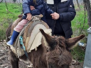 Memleket Partisi Genel Başkanı Muharrem İnce, torununu eşekle gezdirdi